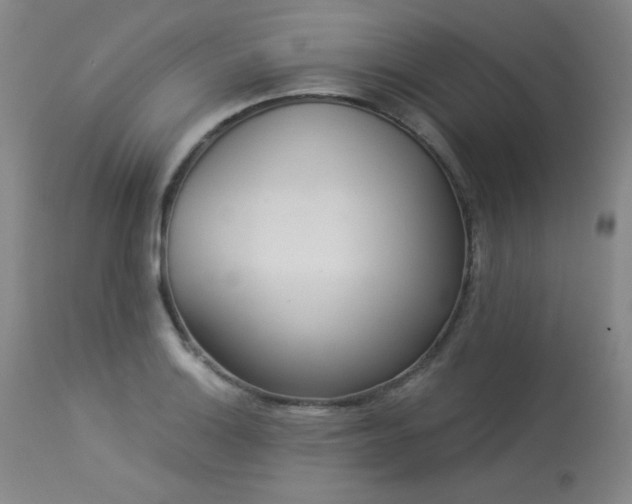 X0000113981132200910021130