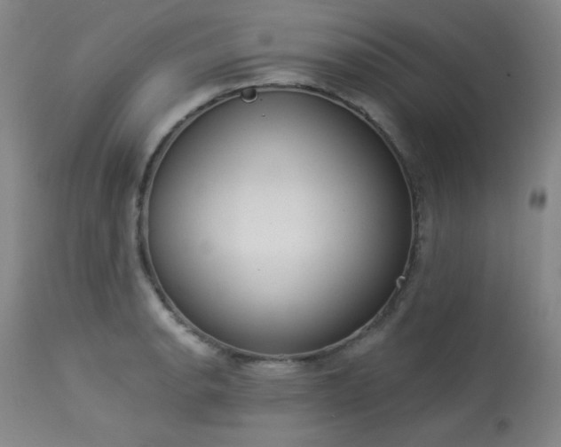 X0000113981134200910021130