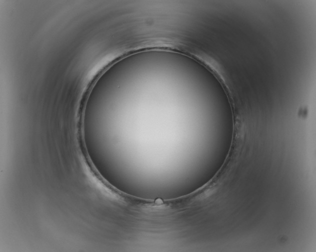 X0000113981135200910021130