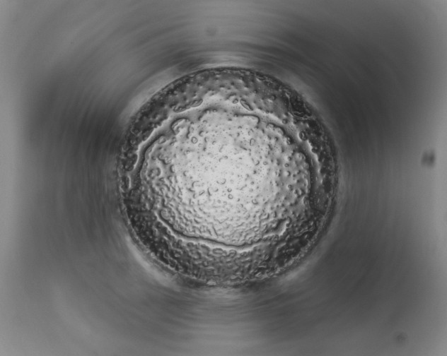 X0000113981137200910021130