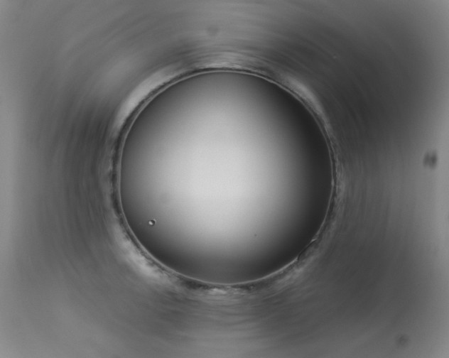 X0000113981138200910021130