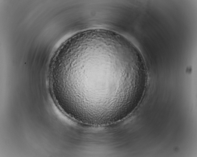 X0000113981143200910021130
