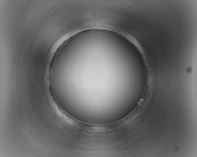 X0000113981144200910021130
