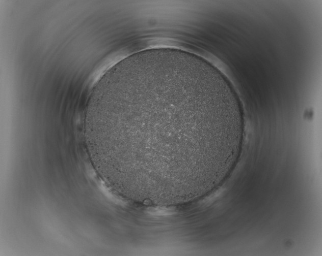 X0000113981145200910021130
