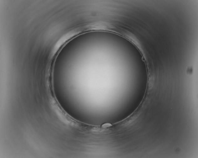 X0000113981146200910021130