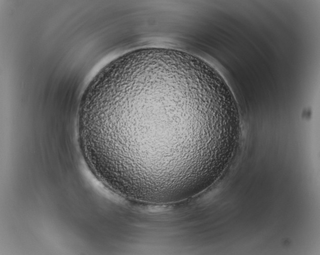 X0000113981147200910021130