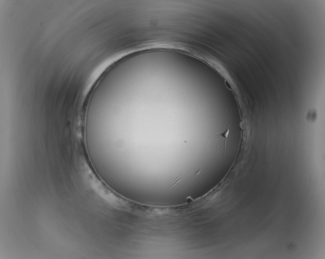 X0000113981148200910021130