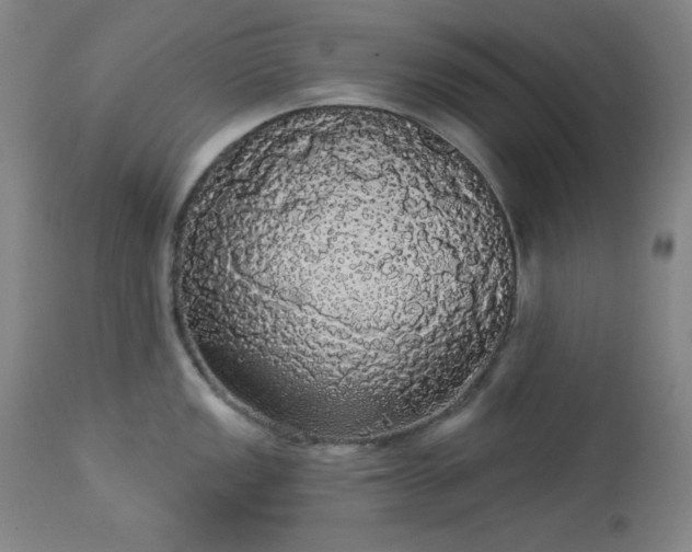 X0000113981149200910021130