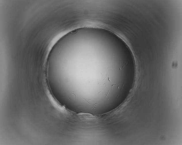 X0000113981152200910021130