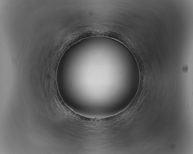 X0000113981153200910021130