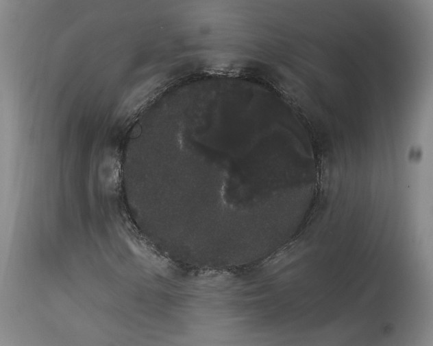 X0000113981154200910021130
