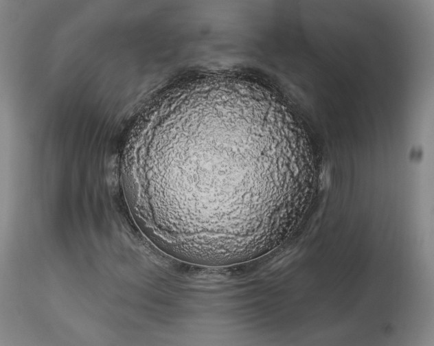 X0000113981156200910021130