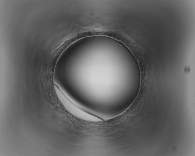 X0000113981157200910021130