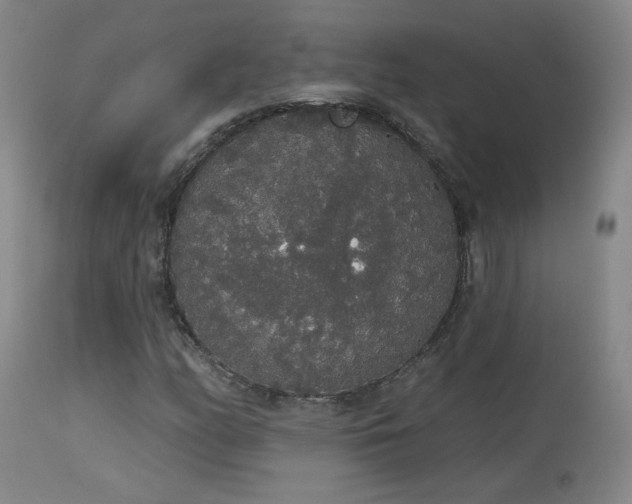 X0000113981158200910021130