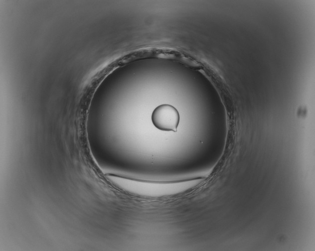 X0000113981159200910021130