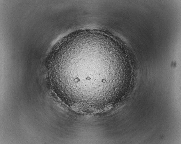 X0000113981160200910021130