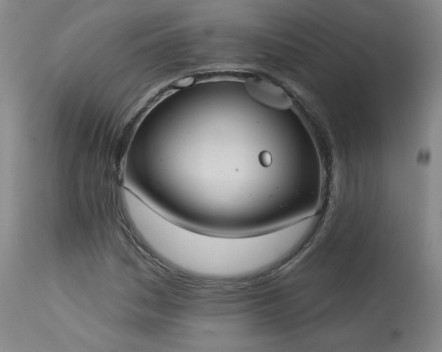 X0000113981161200910021129
