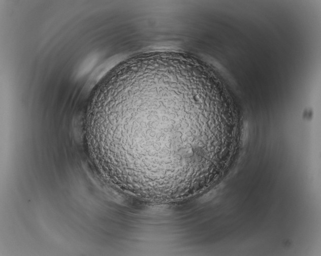 X0000113981162200910021129