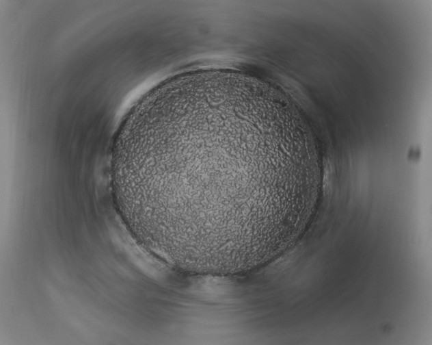 X0000113981164200910021129