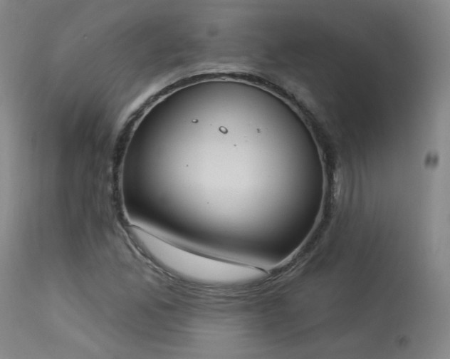 X0000113981165200910021129