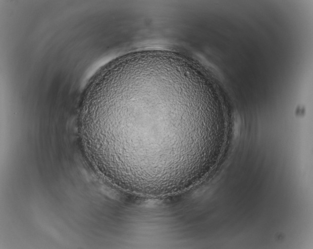 X0000113981166200910021129
