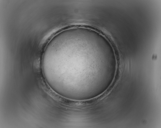 X0000113981167200910021129