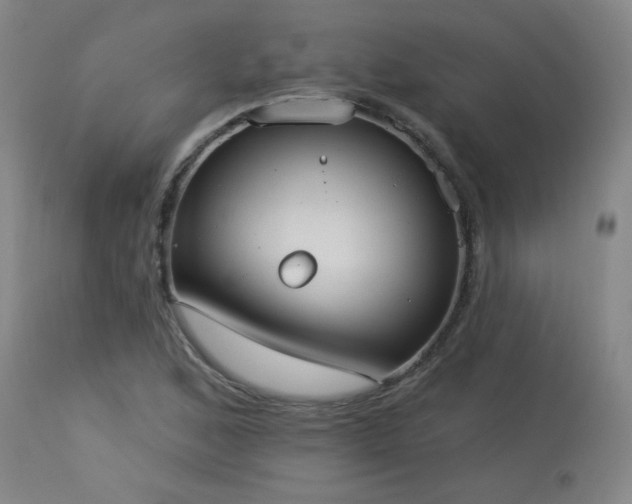 X0000113981168200910021129