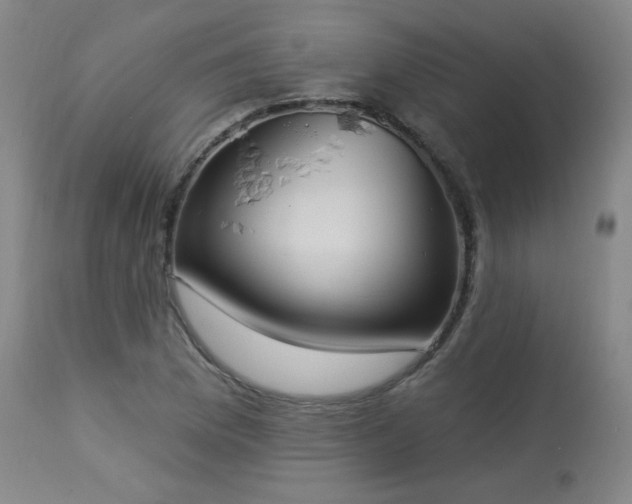 X0000113981169200910021129