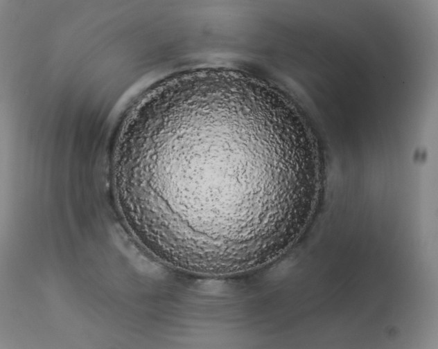 X0000113981172200910021129
