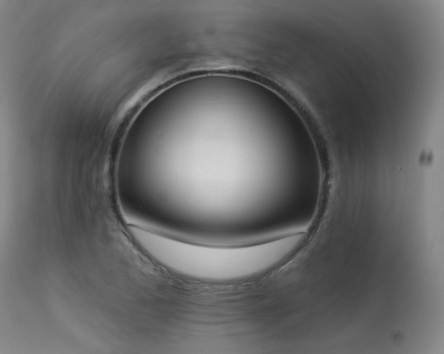 X0000113981173200910021129