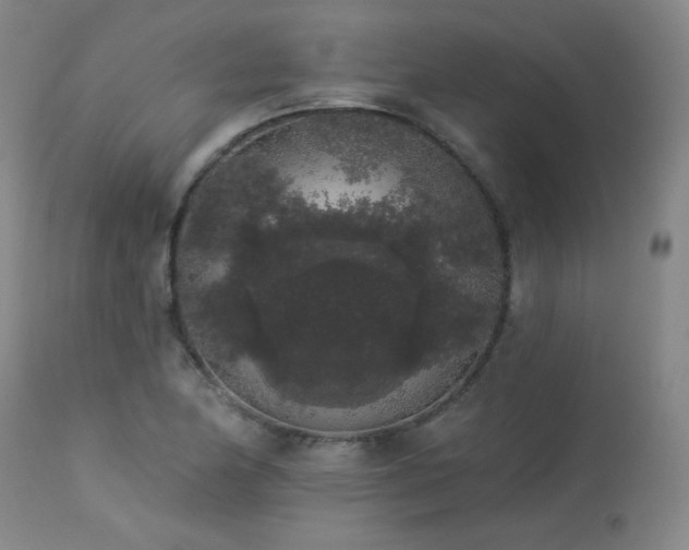 X0000113981174200910021129