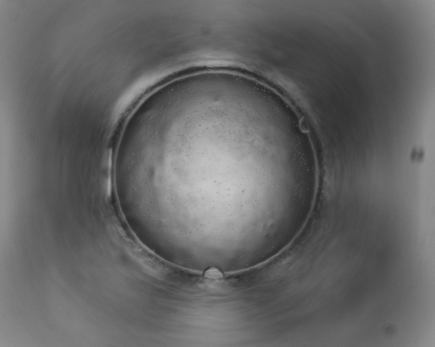 X0000113981175200910021129
