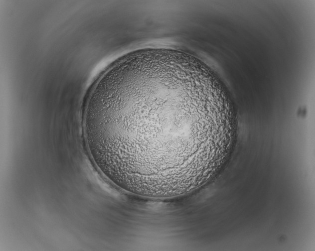 X0000113981176200910021129