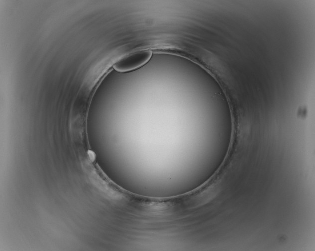 X0000113981177200910021129