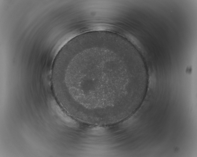 X0000113981178200910021129