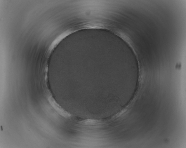 X0000113981179200910021129