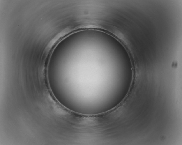X0000113981181200910021129