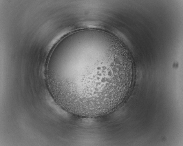X0000113981182200910021129