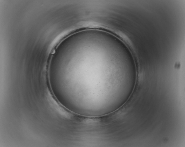 X0000113981183200910021129