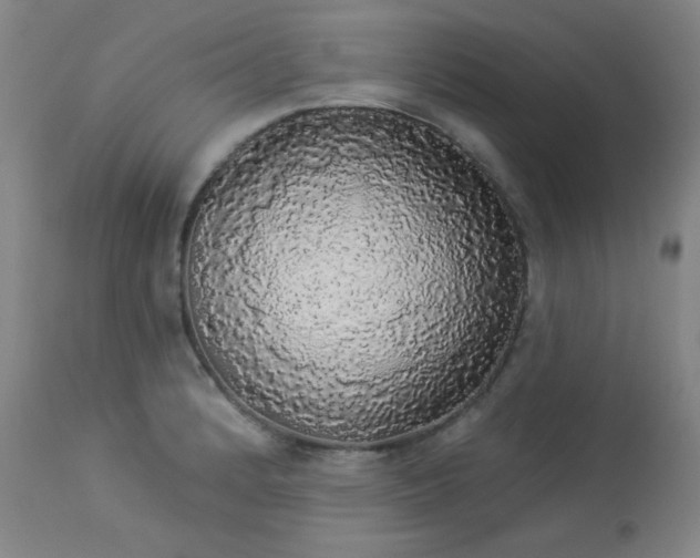 X0000113981184200910021129
