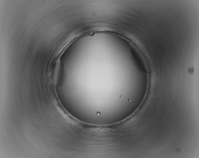 X0000113981185200910021129