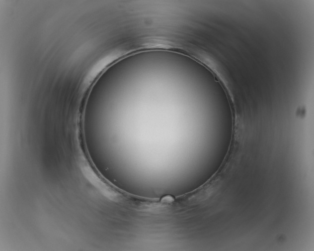 X0000113981187200910021129
