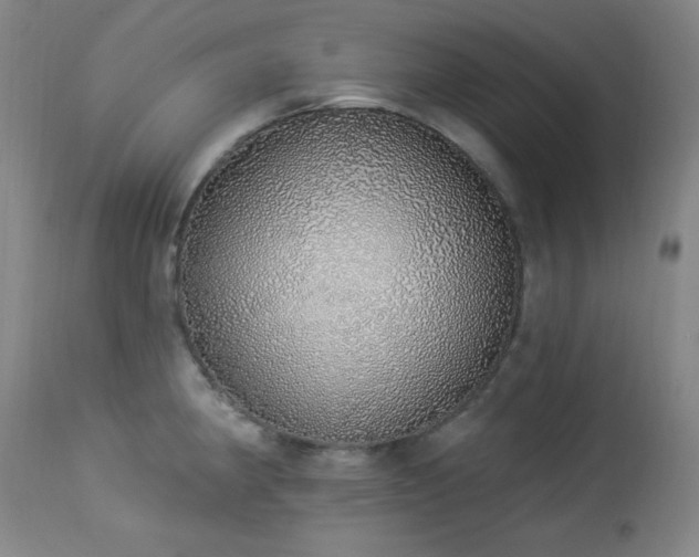 X0000113981190200910021129