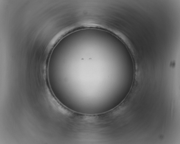 X0000113981191200910021129