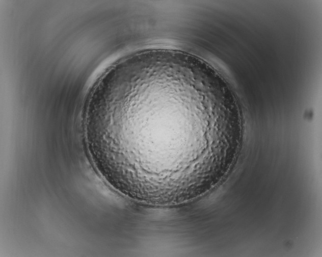 X0000113981192200910021129