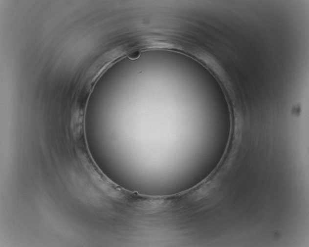 X0000113981193200910021129