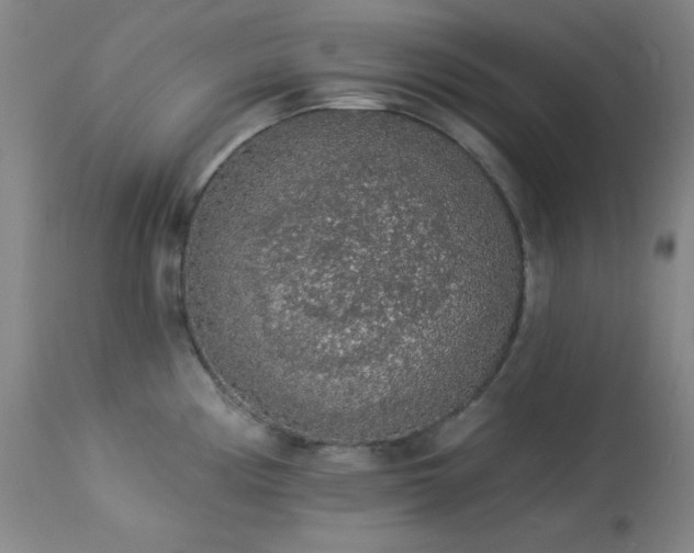 X0000113981194200910021129
