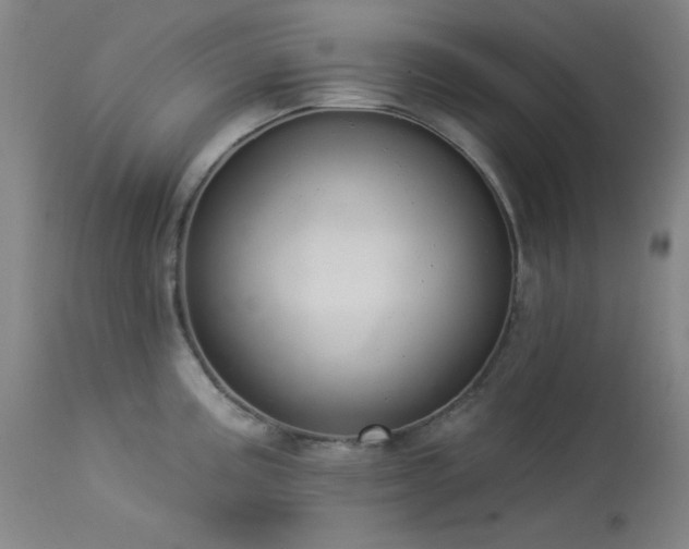 X0000113981195200910021129