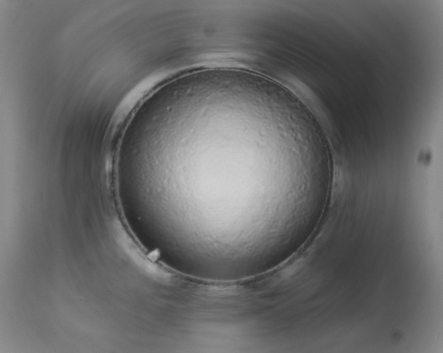 X0000113981196200910021129