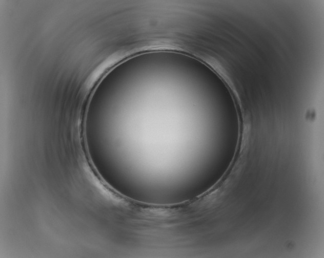 X0000113981197200910021129
